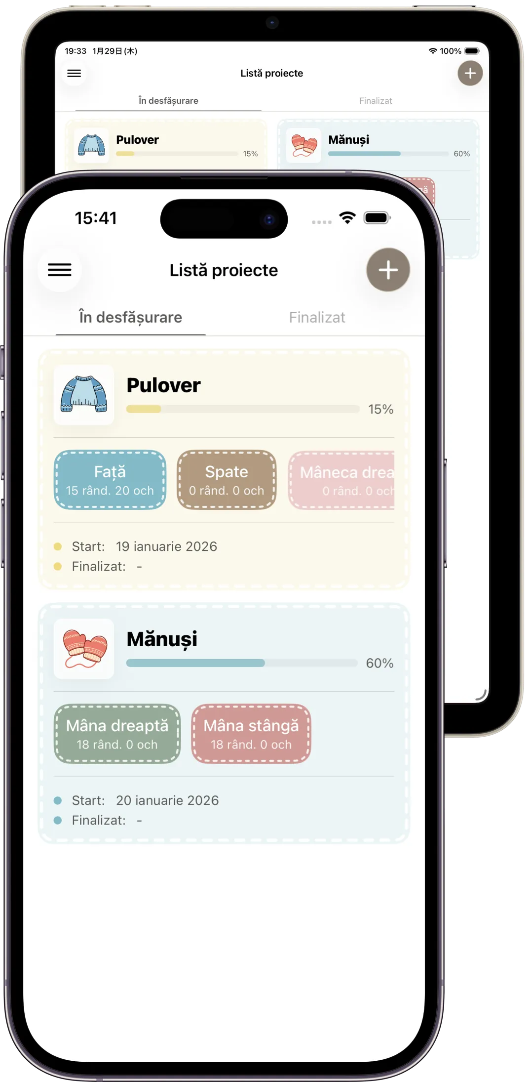 Captură de ecran a aplicației